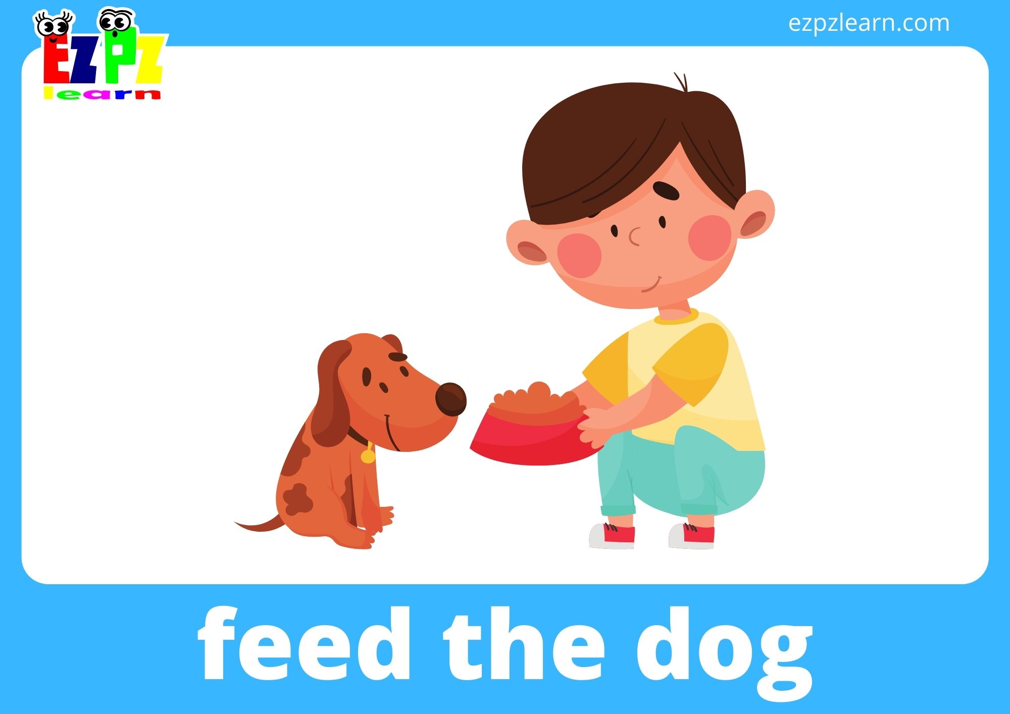 feed the dog
